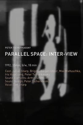 ParallelSpace:Inter-View