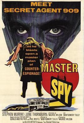 MasterSpy