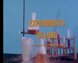 爱情实验