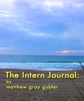 TheInternJournal