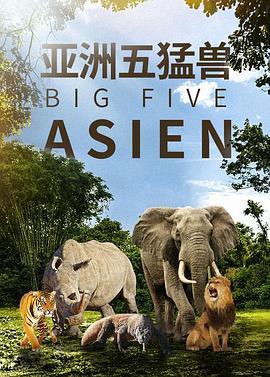 亚洲五猛兽