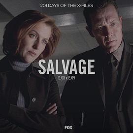 "TheXFiles"SE8.9Salvage