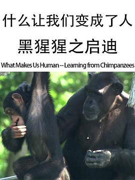 什么让我们变成了人——黑猩猩之启迪