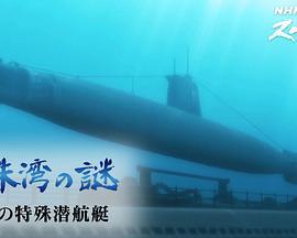 偷袭珍珠港之谜:悲剧的特殊潜艇
