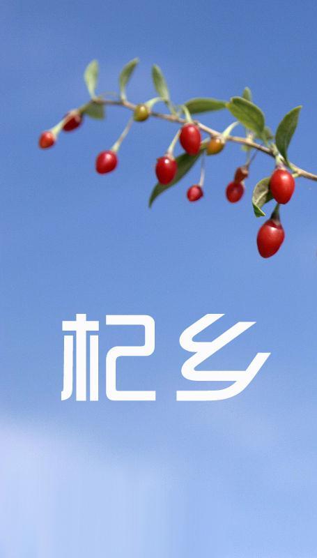 spice网表是什么意思