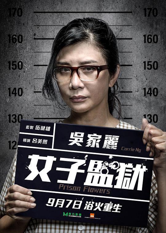 杨门女将之女将初征电影2020