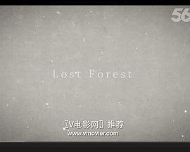 迷失森林