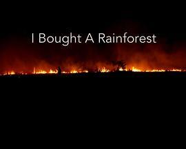 我买了一片热带雨林