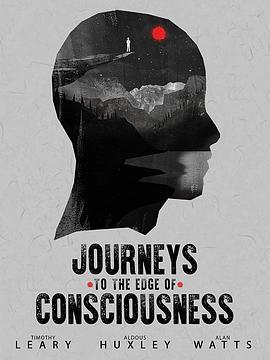 JourneystotheEdgeofConsciousness