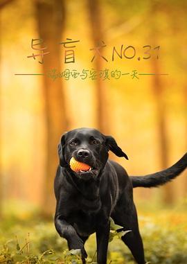 导盲犬No.31